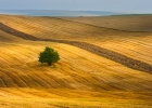 България - 200 вълшебни гледки